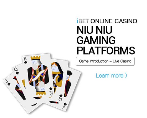ibet online casino Niu Niu Gaming Platforms 495x400